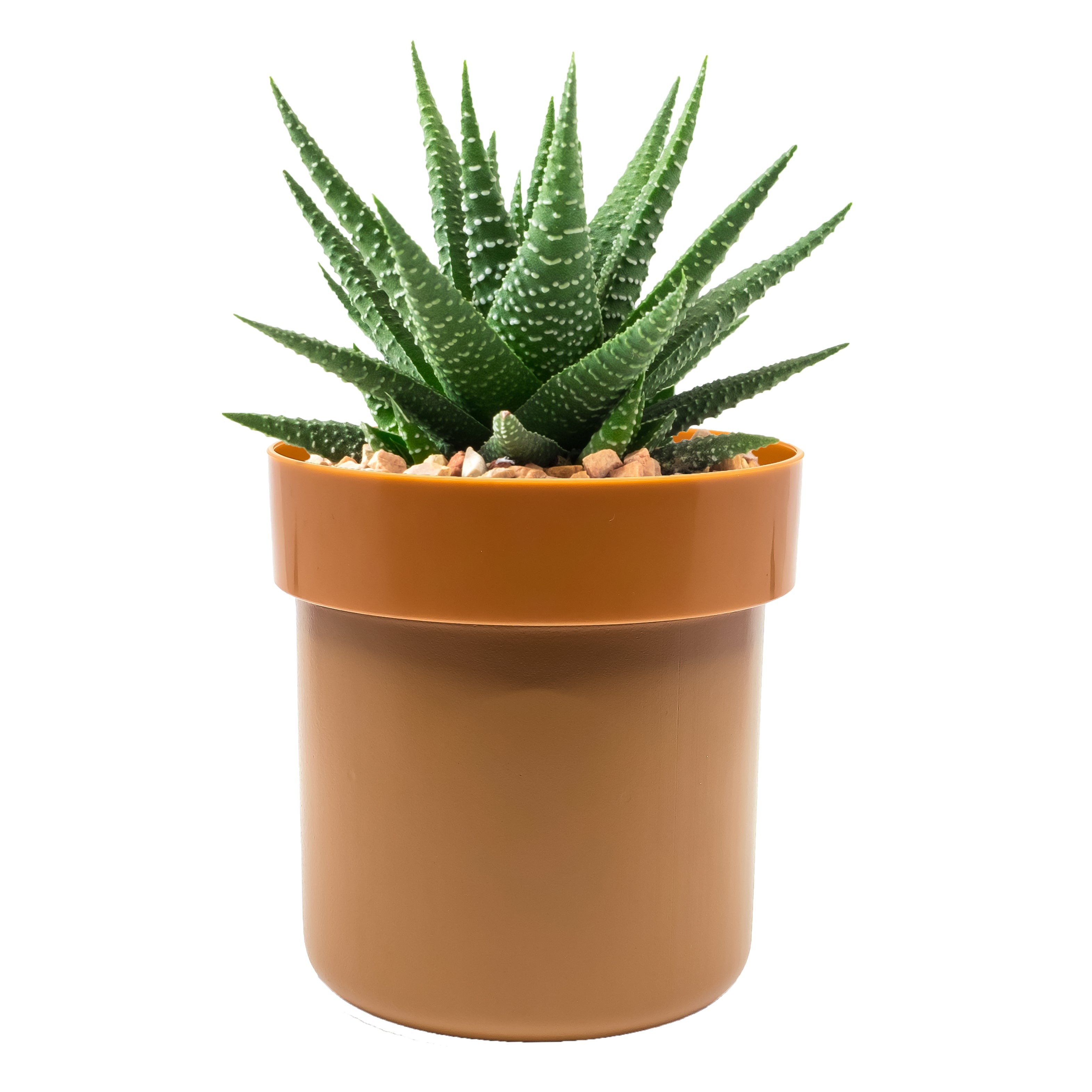 plant pot security Secret Safe ™ Flower Pot With Key Lock – Guardian Self Defense